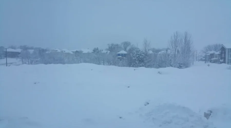 Mass Delusion Or Yet Another Snow Storm?