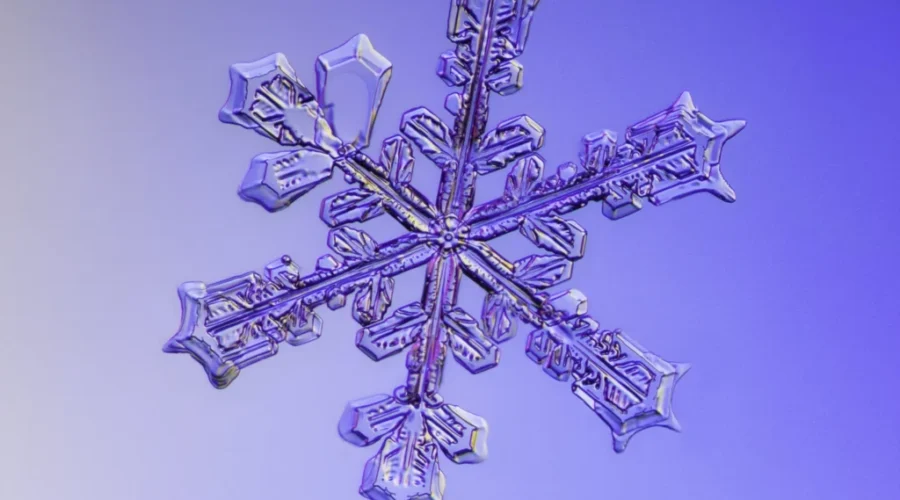 Special Weather Statement In Effect For Moncton and Southeast New Brunswick