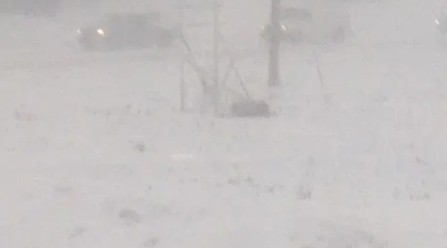 Blizzard Forces Closures and Cancellations Across Province