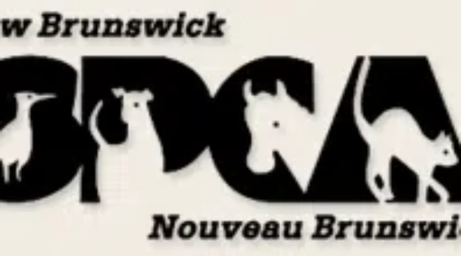 SPCA Looking Into The Cause of Death of Cats Found Along River