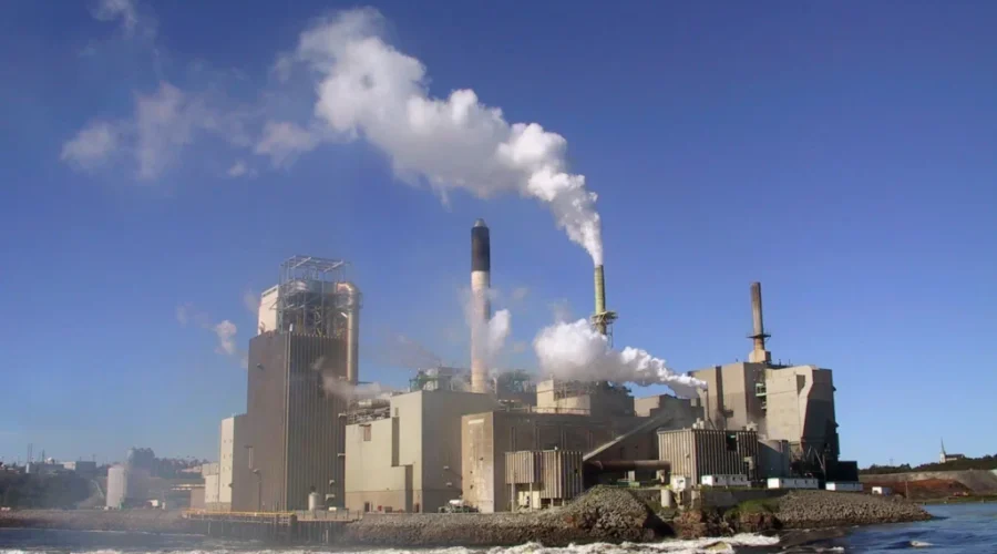 Canadian Youth Taking Action On Environmental Issues