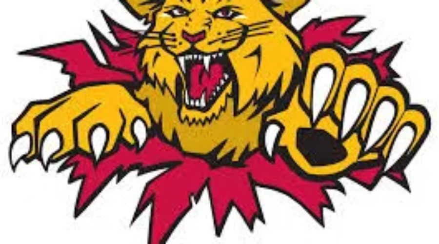 Taxpayers On Hook To Pay For Moncton Wildcats Game In Fredericton