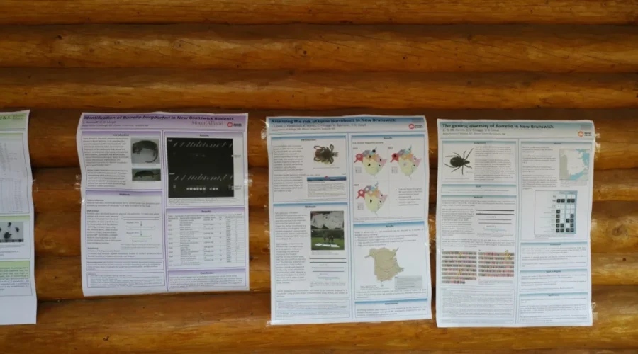 Lyme Disease An Emerging Problem In Eastern Canada