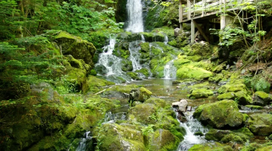 Fundy National Park Officially Opens Friday
