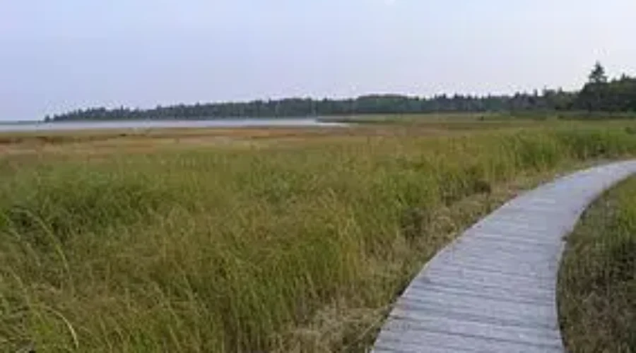 Kouchibouguac National Park Welcoming Visitors For The Season
