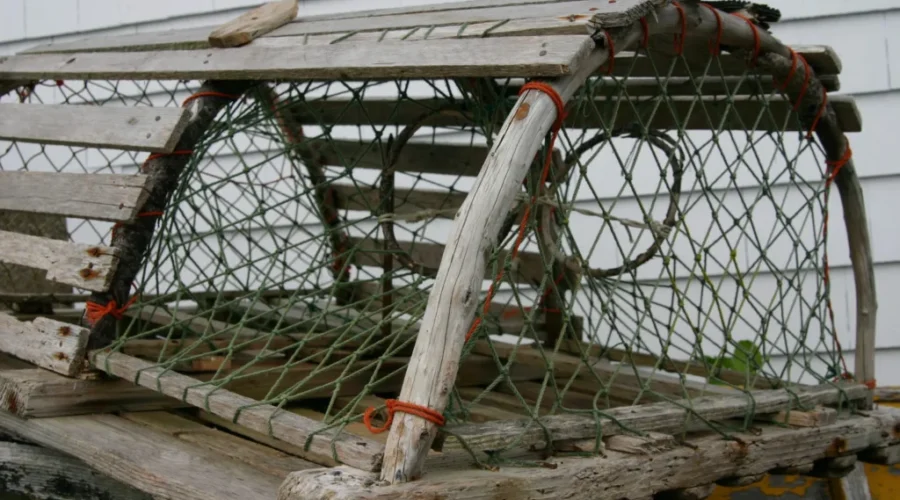Spring Lobster Season Begins In Northern And Northeastern NB