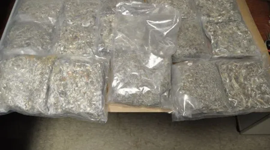 RCMP Arrest One Man After Large Drug Seizure
