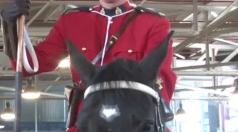 RCMP Musical Ride Tour Coming To New Brunswick