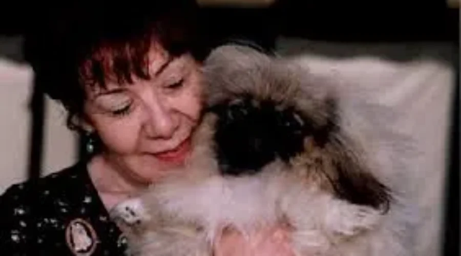 The Pitfalls Of Sleeping With Pets In Your Bed