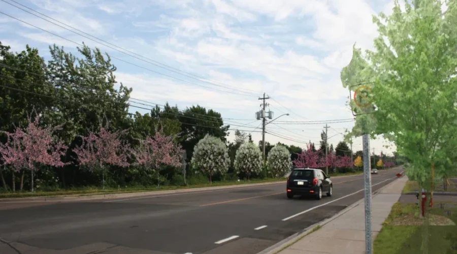 Hildegard Beautification Project Underway