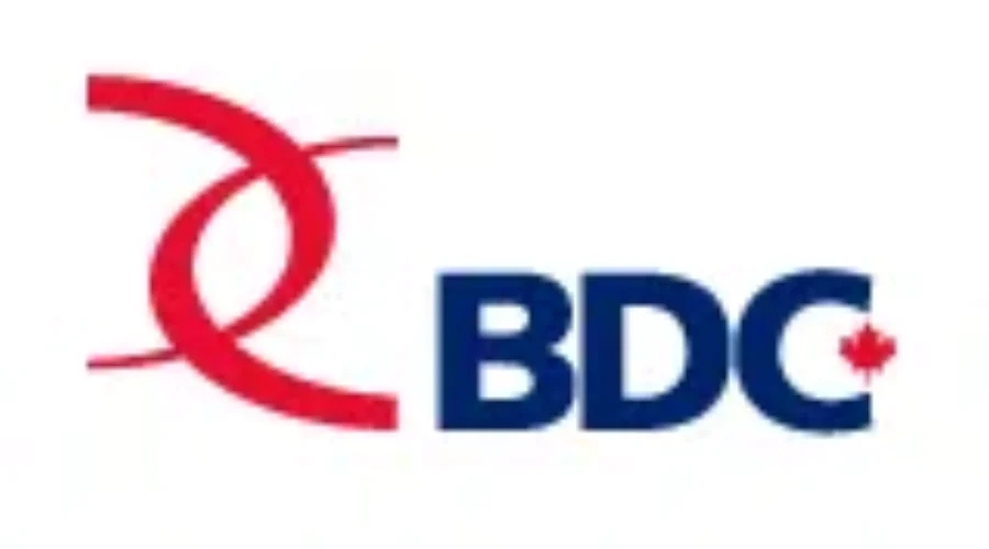 New Brunswicker In Finals For BDC Young Entrepreneur Award