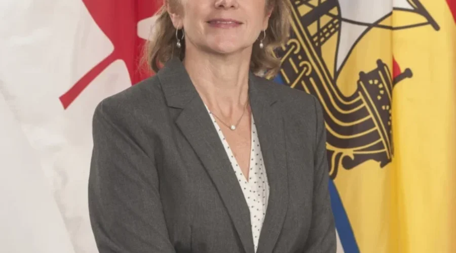 NB Auditor General Concerned About Province’s Private Wood Supply