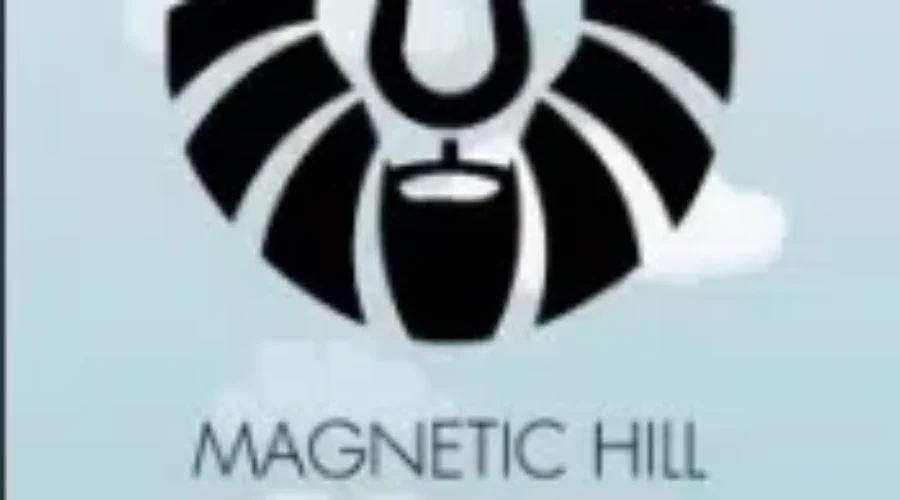 Fundraiser For Magnetic Hill Zoo Big Cat Exhibit To Be Held This Weekend