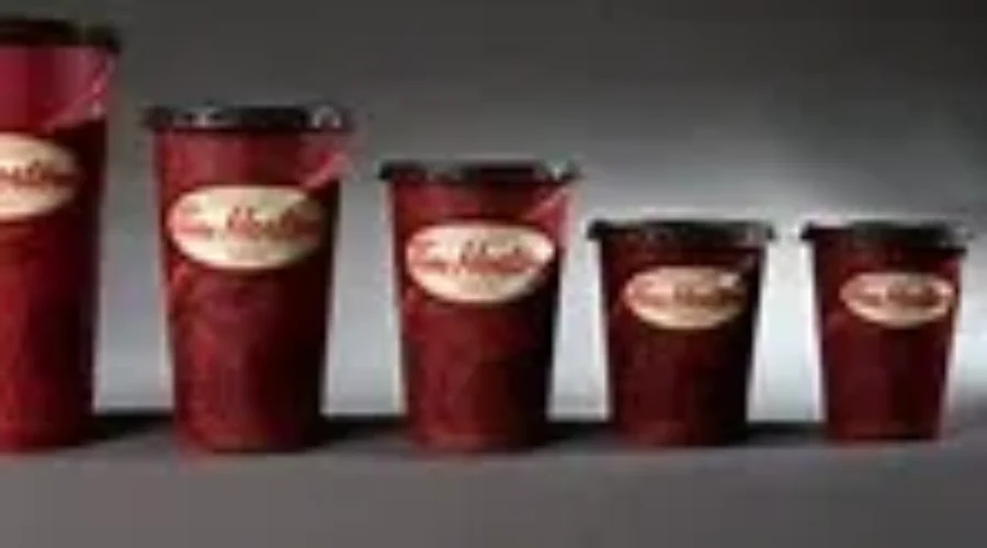 Its “Camp Day” At Timmy’s!