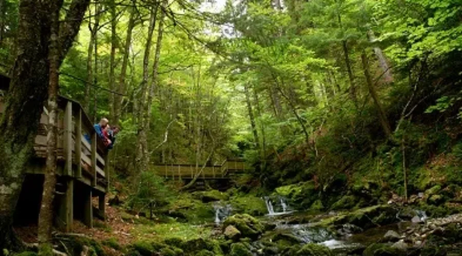 Fundy National Park Gets Funding For Upgrades