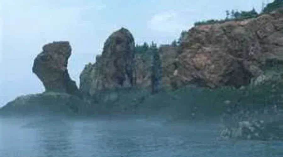 Report Concludes Energy East Pipeline Could Put Jobs, Whales At Risk