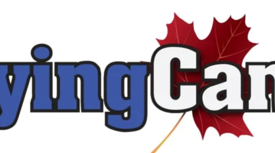 Bullying Canada In Need Of Volunteers