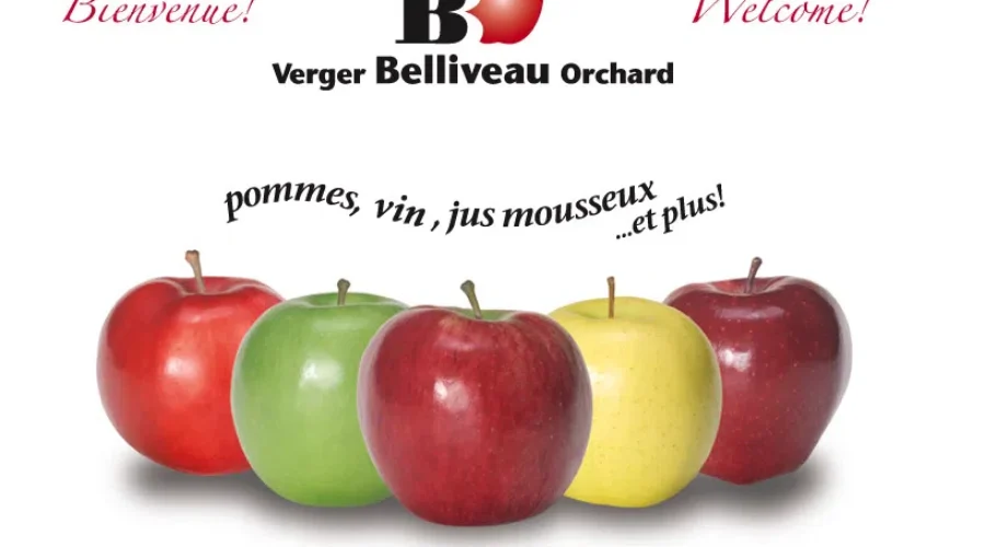 Apple Picking Season Is Underway At Verger Belliveau Orchards