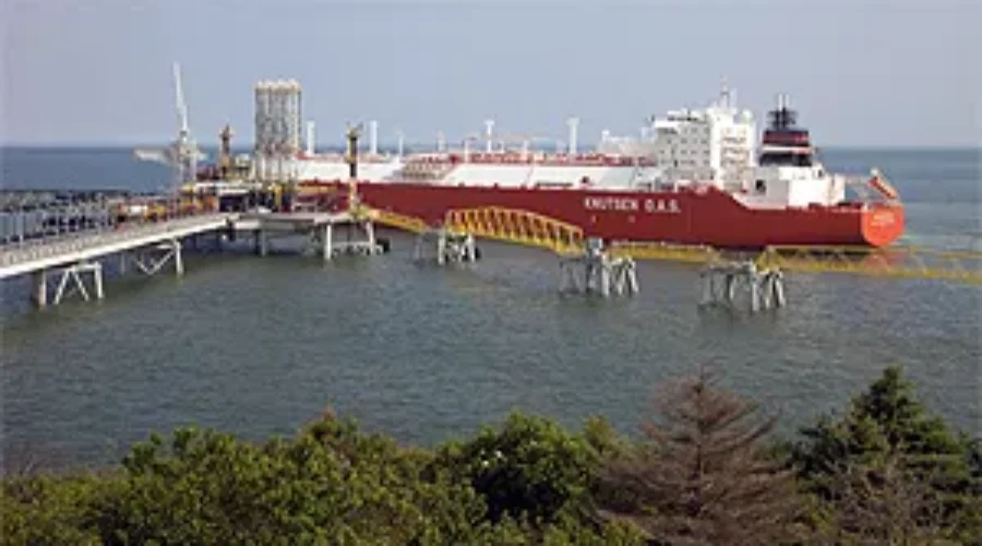 No Pleas Yet In The Canaport Bird Kill From 2013