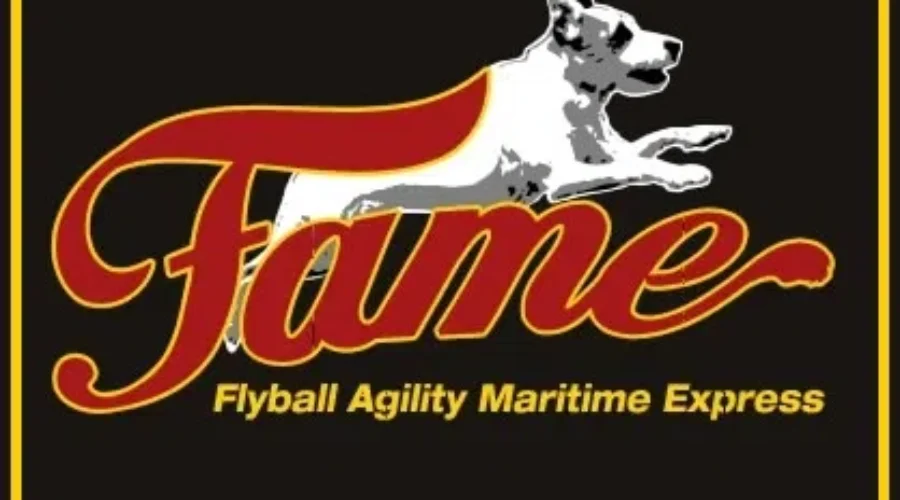 Sackville Hosting A Friendly Agility And Speed Dog Competition This Weekend
