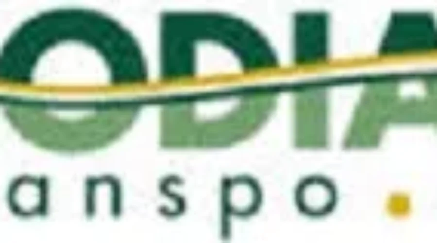 Ridership Up For Codiac Transpo