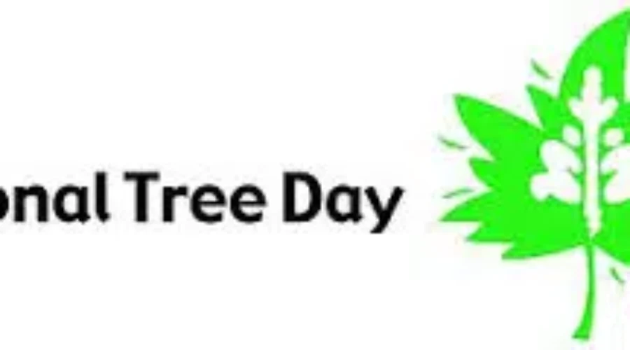 It’s National Tree Day