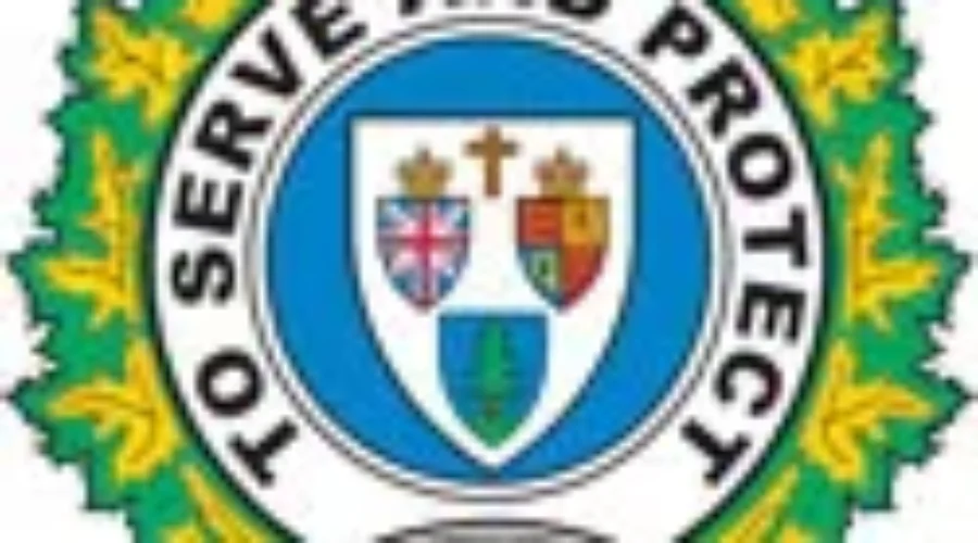 Fredericton Police Advise Cat Owners To Keep Animals Inside