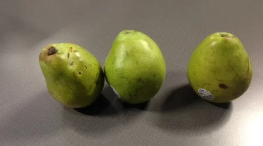 Helping Students Eat Healthier