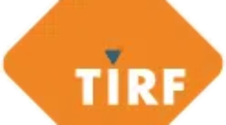 Lowering The Number Of Collisions With Wildlife