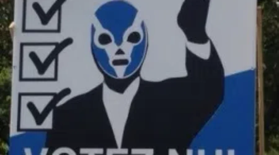 Unusual Election Signs Could Give Voters Another Option