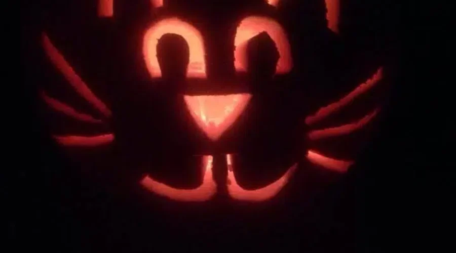 Halloween Tips For Pets
