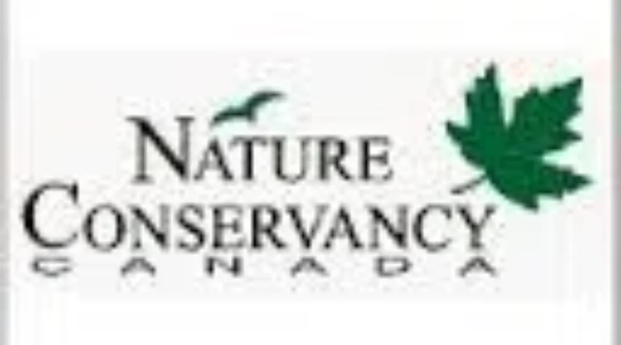 Volunteers Needed To Count Waterfowl