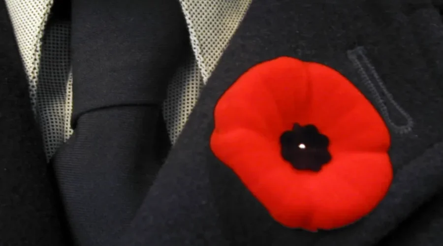 NB Students Engaged In Remembrance Day Project