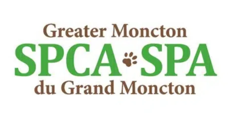 Greater Moncton SPCA Now Protecting Dogs Against Rabies