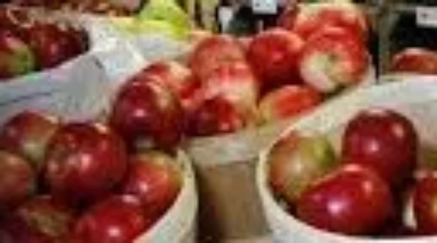 Lots Of Apples For Belliveau Orchards
