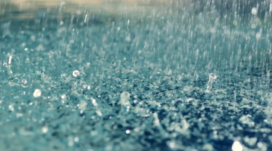 Remnants Of Patricia Impact NB