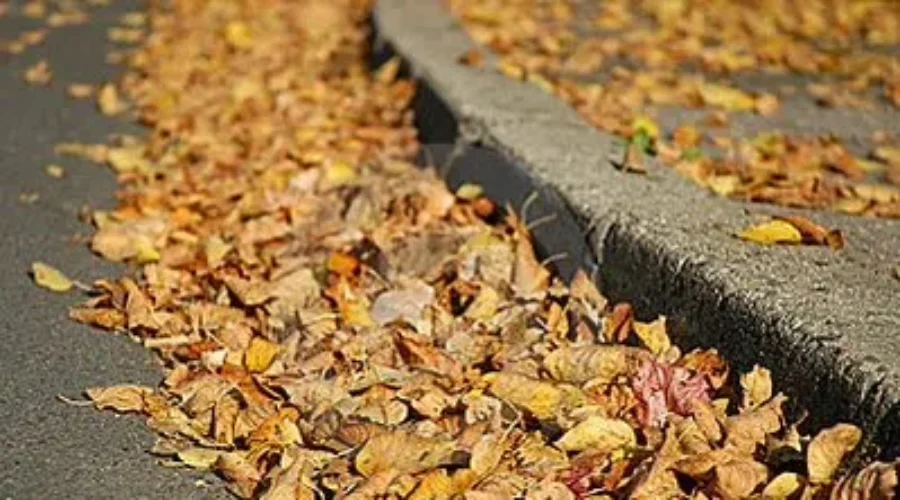 Don’t Sweep Leaves Into the Street!
