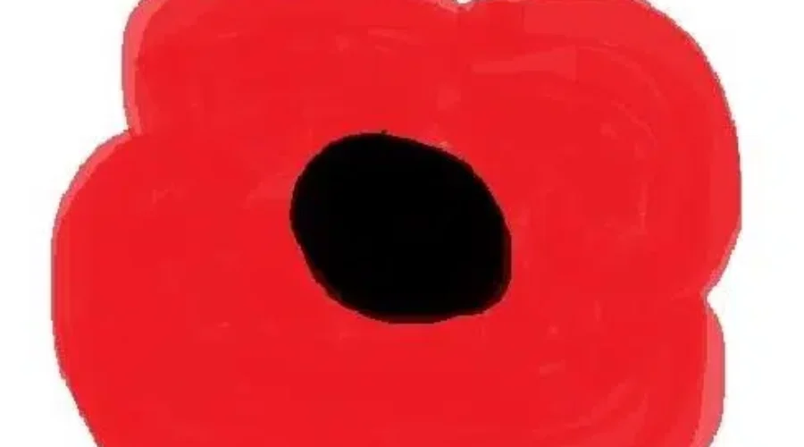 Many Dignitaries Pause For Remembrance Day