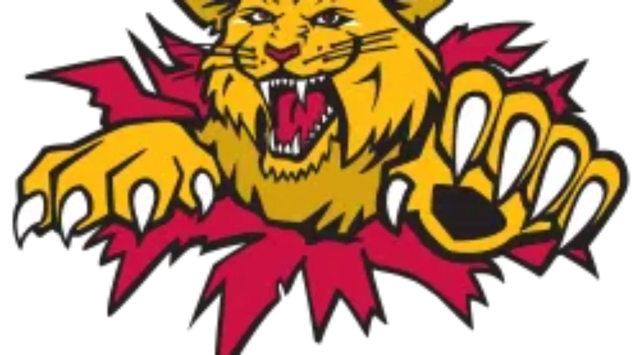 Wildcats Make Trades For A Goalie