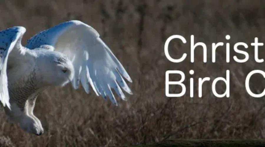 Registration Open For 50th Annual Christmas Bird Count