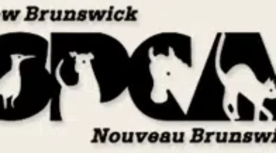 Provincial Government Gives Funding To New Brunswick SPCA