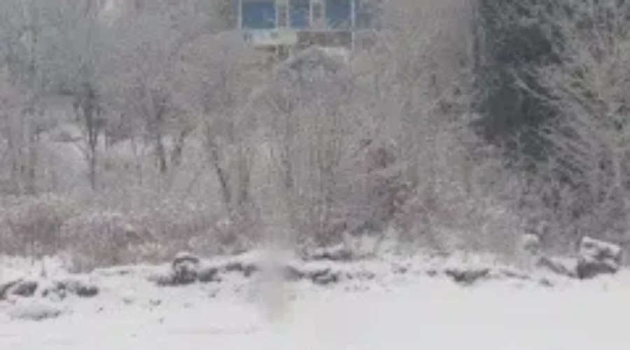 Winter Officially Arrives In New Brunswick