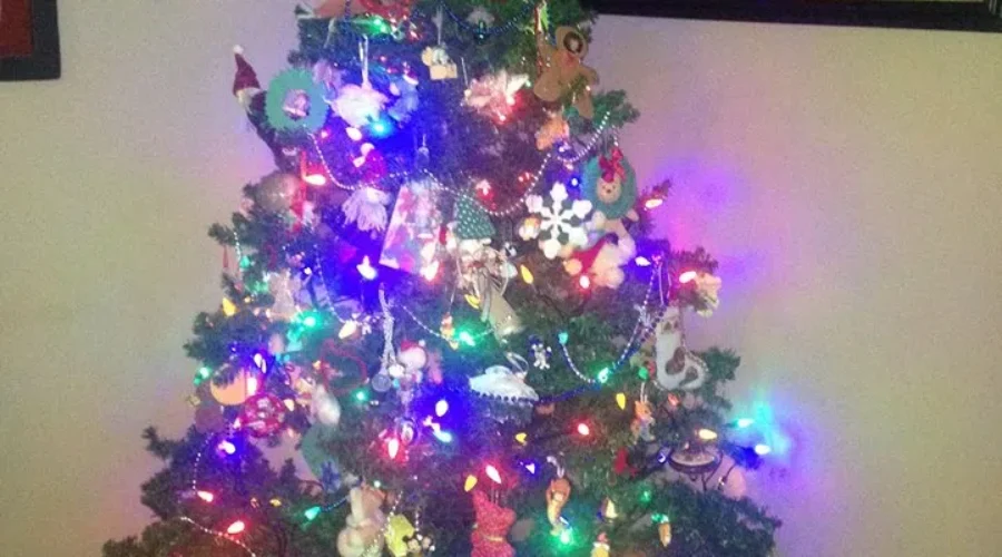 Christmas Tree Safety Tips