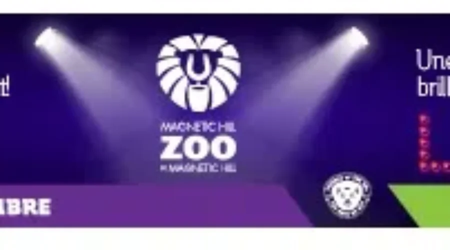 Wild Lights Display At Magnetic Hill Zoo Postponed Until Friday