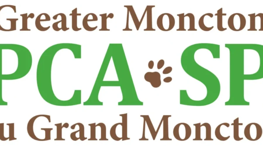 Big Financial Boost For Greater Moncton SPCA