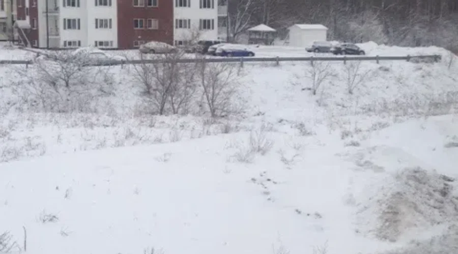 Metro Moncton A Winter Wonderland Once Again