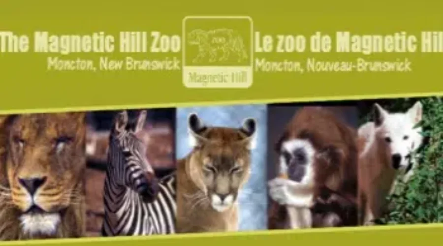 Magnetic Hill Zoo Economic Impacts Top 40 Million Dollars