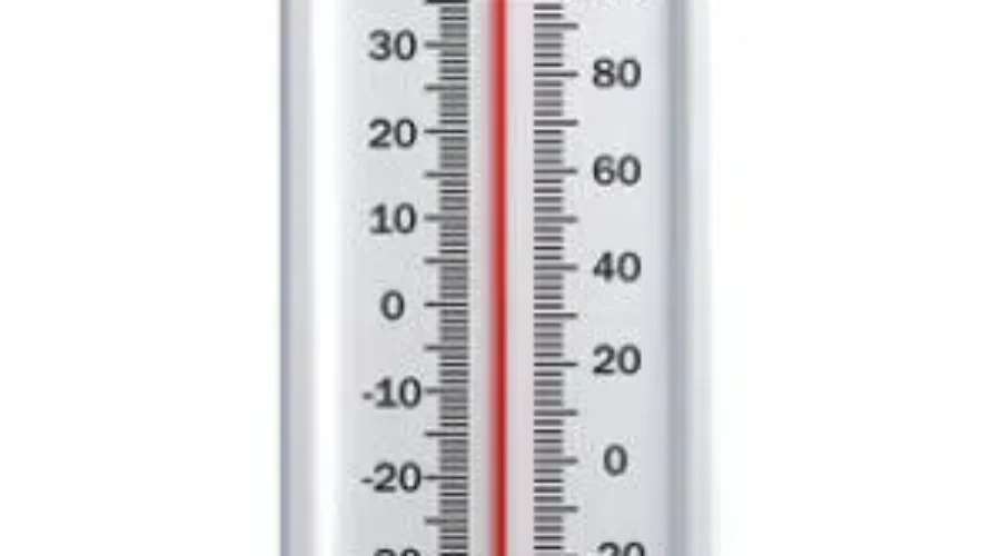 Warm January In Metro Moncton
