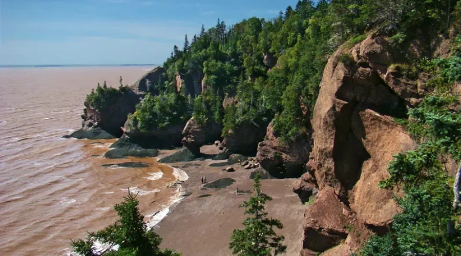 Hopewell Rocks Change With Every Tide