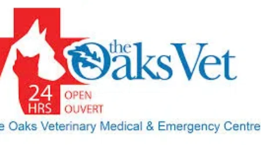 Oaks Veterinary Hospital Becomes Second In Canada To Receive Special Certification